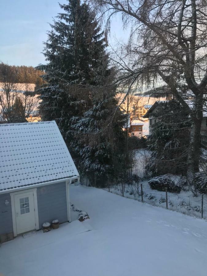 Haus Madita Breitnau Dış mekan fotoğraf