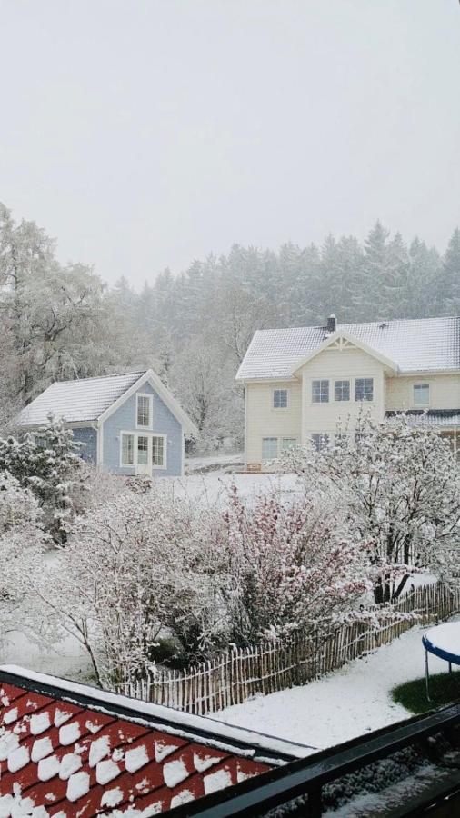 Haus Madita Breitnau Dış mekan fotoğraf
